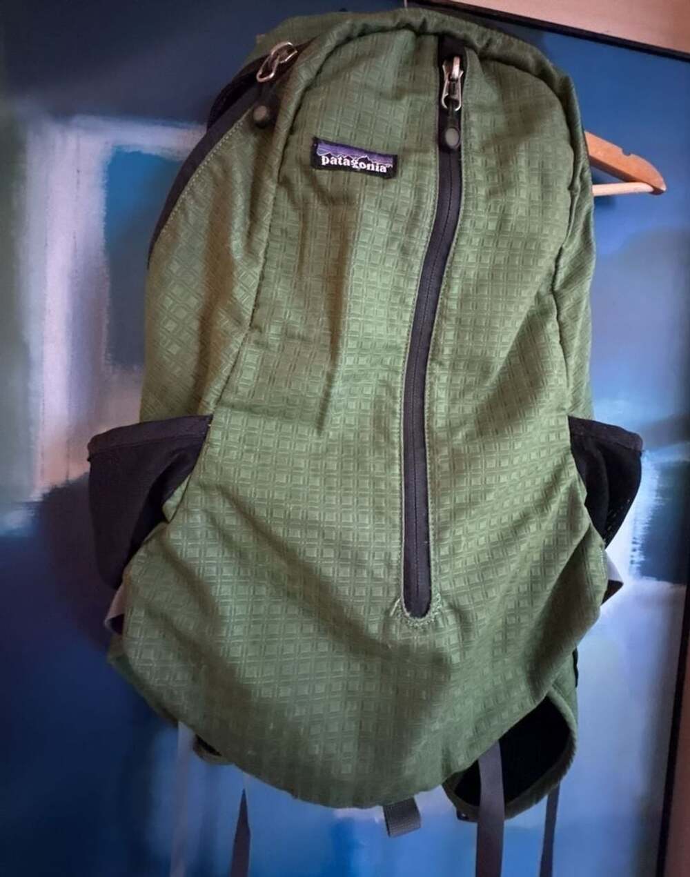 Patagonia Catalyst Pack Backpack Green